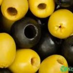 Маслини, Оливки